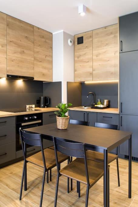 Comfortable And Spacious Oasis Apartment Krakau